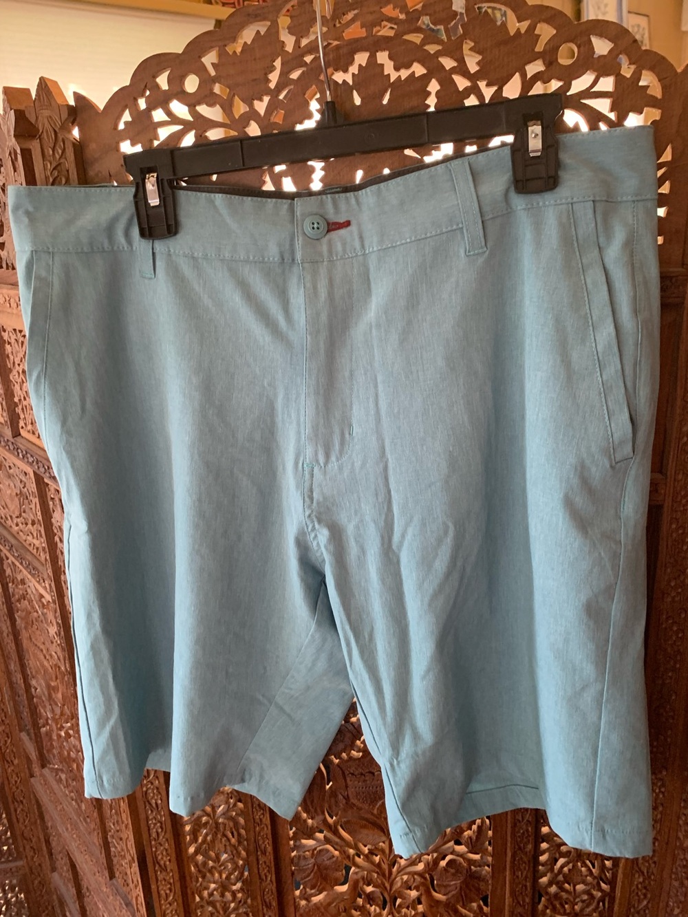 burnside Men's Mint Green Flat Front Shorts